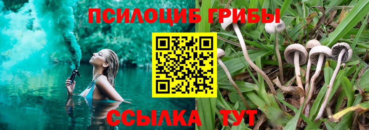 Галлюциногенные грибы мицелий  Вход с VPN  Ирбит 